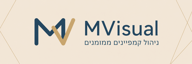 חברת MVisual